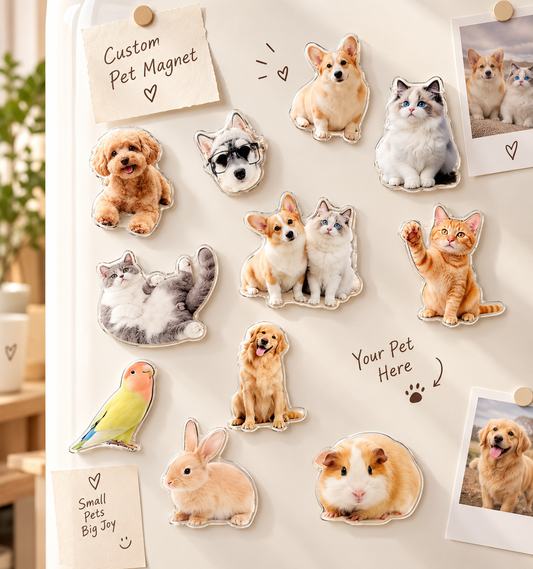 Personalised Cutout Magnets – Set of 5